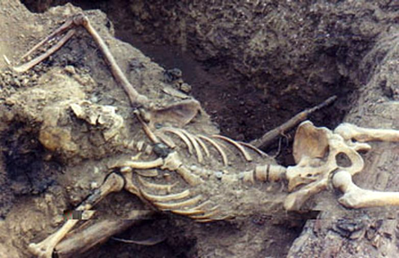 ���������