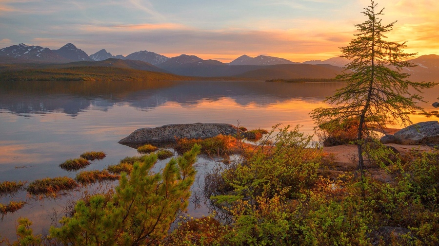 ���������