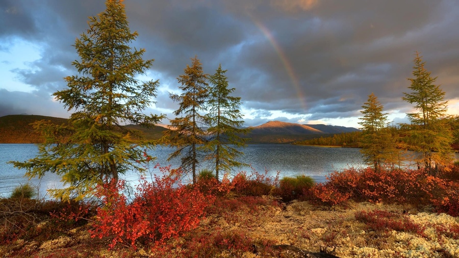 ���������