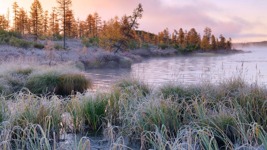 ���������