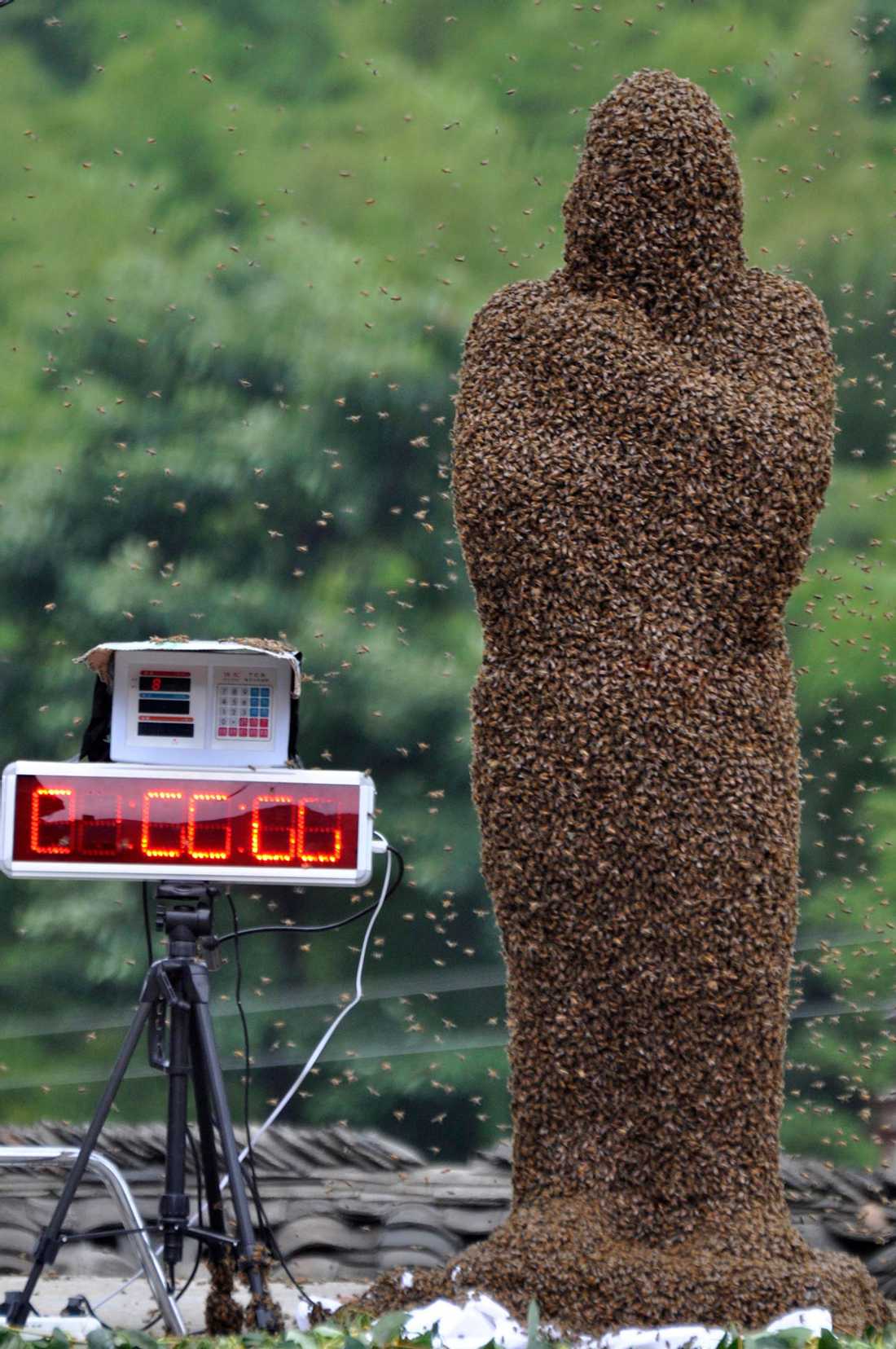 ���������