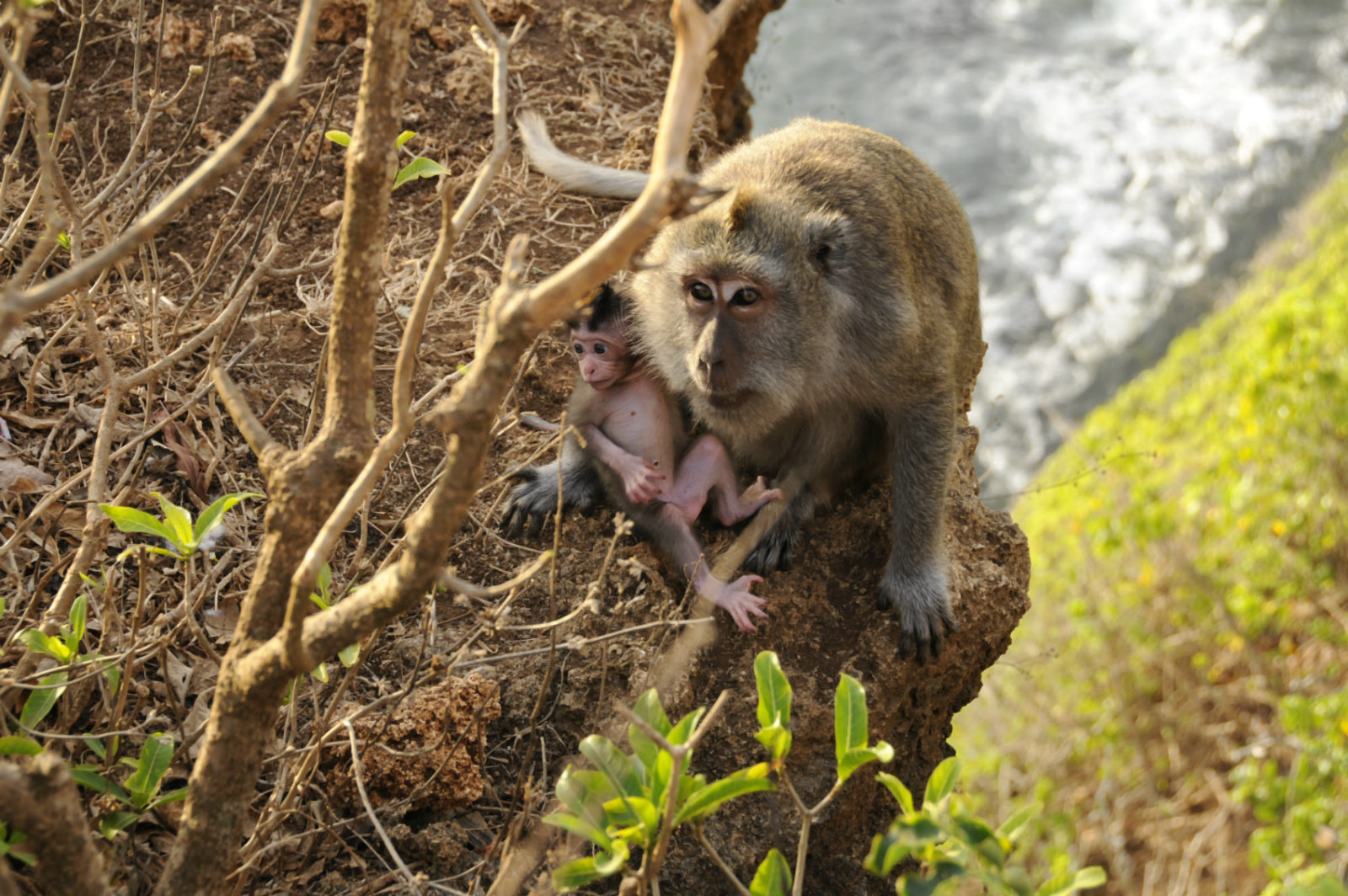 ���������