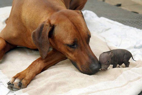 ���������