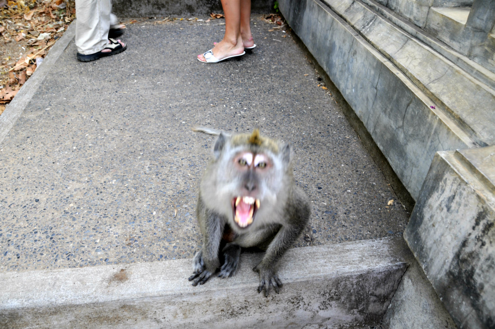 ���������