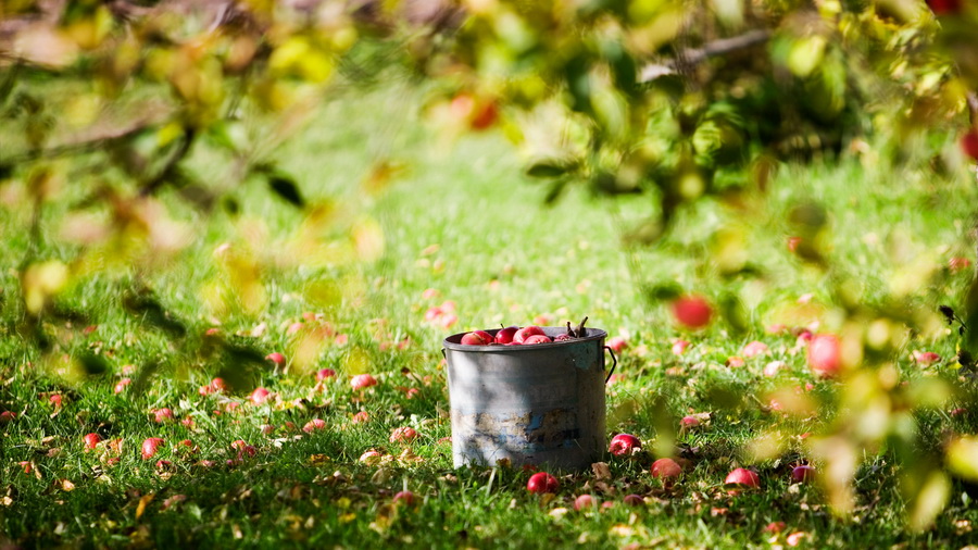 ���������